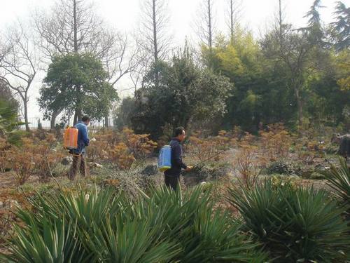 �Ϸ����ܷ�ֳ�������ͼƬ