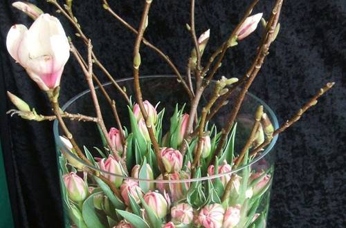 1537194922268518.jpg 家庭插花:大口径花瓶的插花技巧