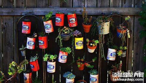 养多肉的最高境界:用多肉打造完美家居