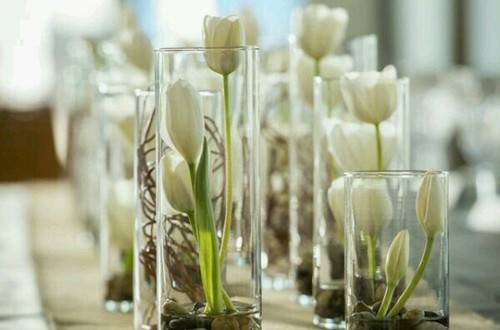 1537195103101318.jpg 家庭插花:大口径花瓶的插花技巧