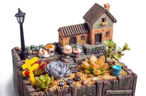 1550759971123970.jpg 花卉盆景的好看装饰技巧