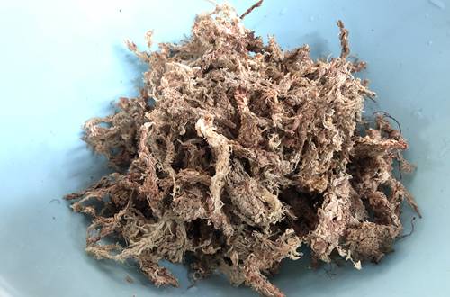 1571744311152891.jpg 养点不一样的盆栽:雨林缸造景方法【图】