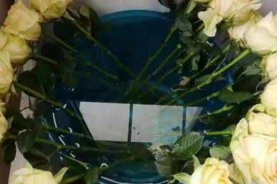 购买的鲜花要醒花多久 鲜花的正确养护方法