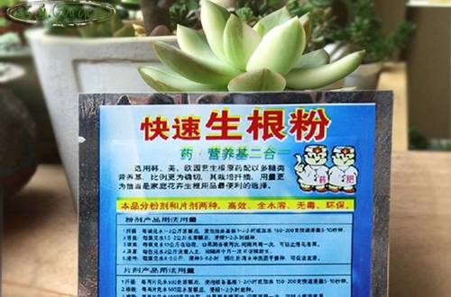 1577259712727021.jpg 看看生根粉怎么用效果最好