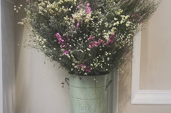 水晶草怎么养护 干花需要浇水吗