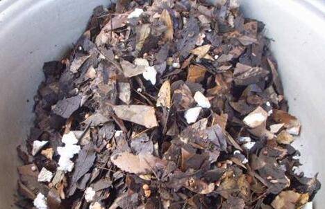 兰花配土植料的选择:兰花怎么配土最好