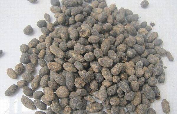 盆栽绿植表面上铺什么生长旺盛