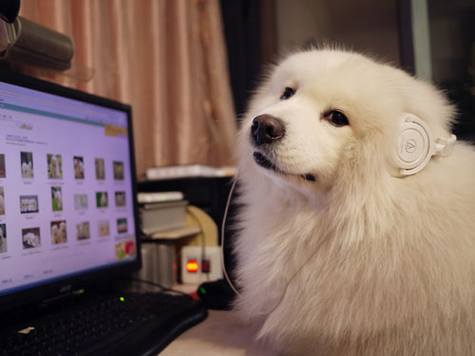 是谁在偷窥我们的网络隐私