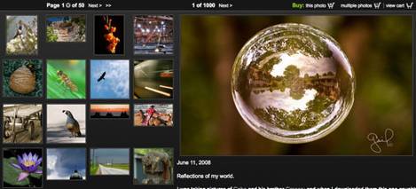 ��������Ƭ������վ