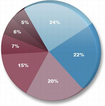 影响搜索引擎排名的因素2009版