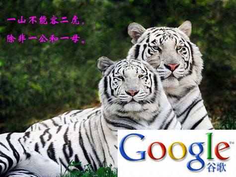 双龙头架构将是谷歌的灾难