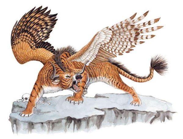 �Ϲ�������޼��Ĵ�����