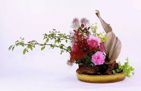 �й��廨��������Դ����չ