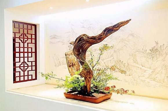 �й��廨��������Դ����չ