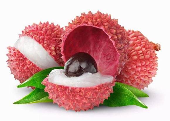 �����£�������֦