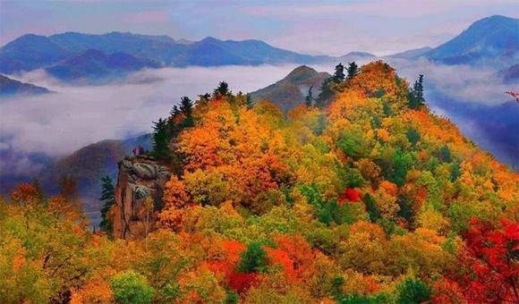 ��������ҥ��һ��������������������