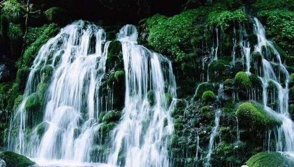 ®ɽ���Ļ�ԨԴ�봫˵