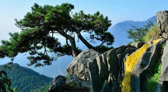 ®ɽ���Ļ�ԨԴ�봫˵