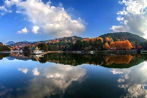 ®ɽ�ϱ�����������ʯͷ������Ĺ���