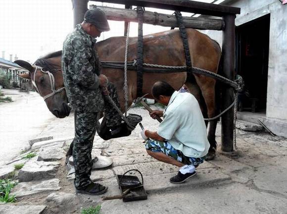 ��ͳ�ֹ�ҵ������