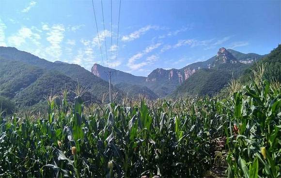 �ӱ�����ڵ״��Ļ�