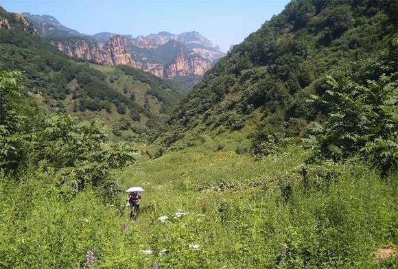 �ӱ�����ڵ״��Ļ�