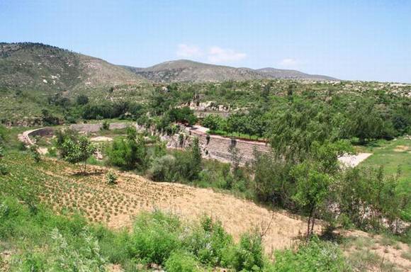 �ӱ���̨������ ������ ������