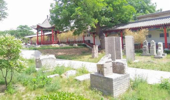 �������£��������������