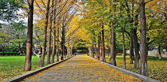 ��ʷ�ϵĸ�ƽ�˾�