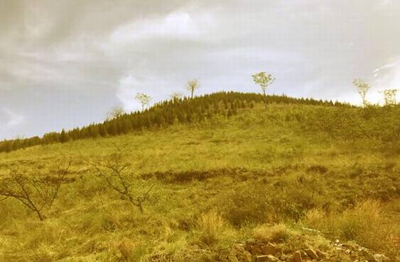 ��ʷ�ϵĸ�ƽ�˾�