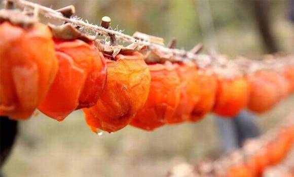 ������ƽ����������Ҷ���顱������