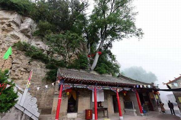 ������ƽ����ɽ������ùá���������˵