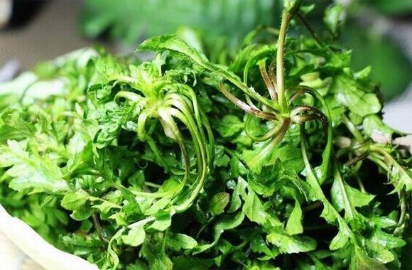 ũ���������Եز��󼦵���ϰ��