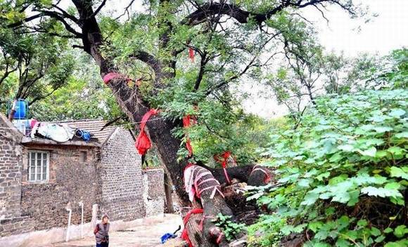 ɽ���������ף����﹵���ݹŻ�