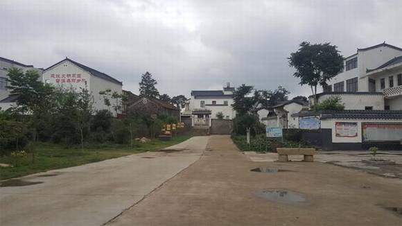 ��������˫������������