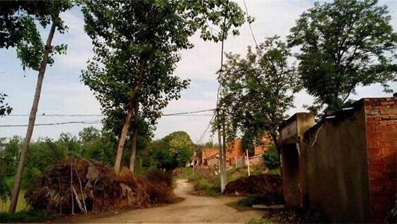 ��������˫������������