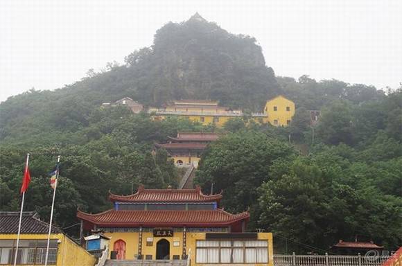 ������Ϊ���Ż���