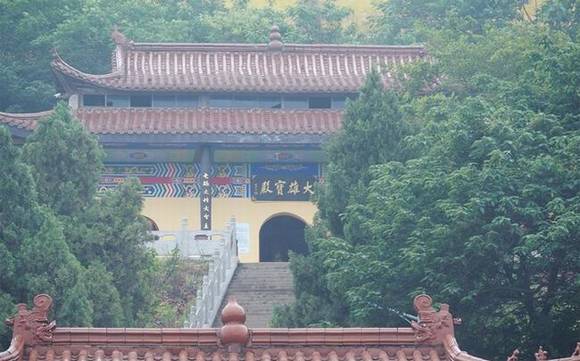 ������Ϊ���Ż���