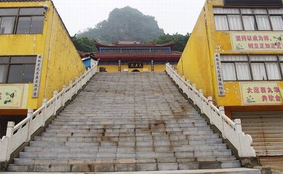 ������Ϊ���Ż���