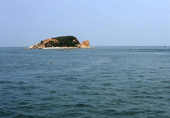 ����ׯ�Ӻ����ŵ�