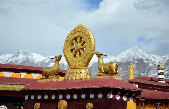 ѩ���ԭ���������ĵĴ�����