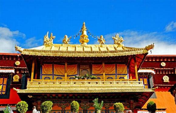 �й��ִ�50��Ž���