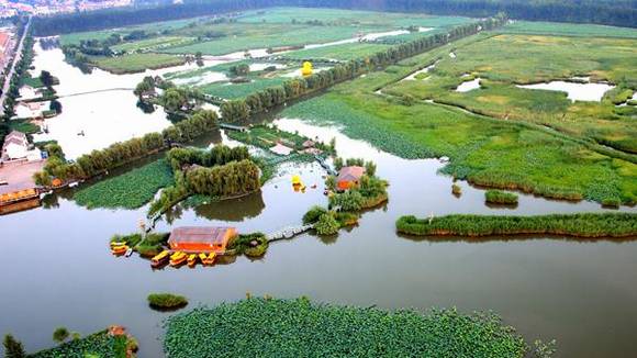 ��Ӧ������ǧ�����