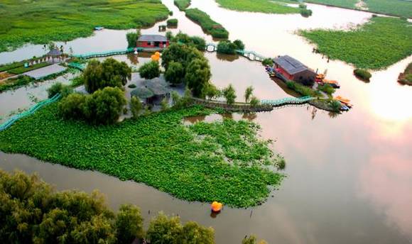 ��Ӧ������ǧ�����