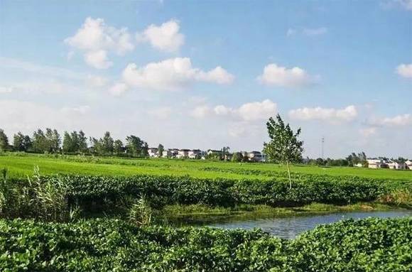 ��Ӧ������ǧ�����