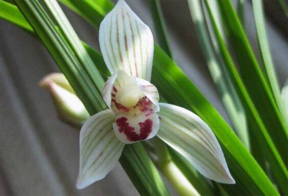 ���������������չ