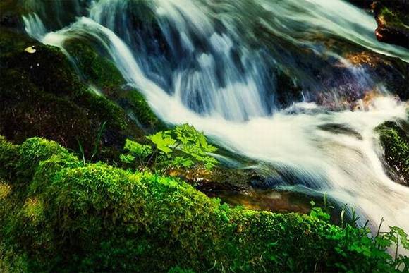 ���������ݼ���ũ�����Ƶ�����