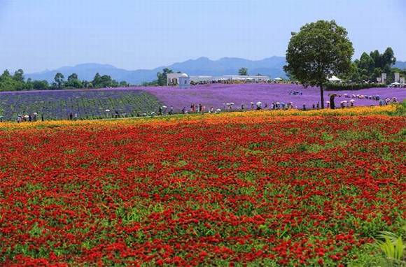 �Ĵ��������