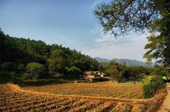 ë����ϯ��ɽ�ʾ�