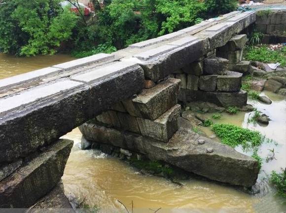 �����ҽ�ţ���ţ����ϵ�һ����